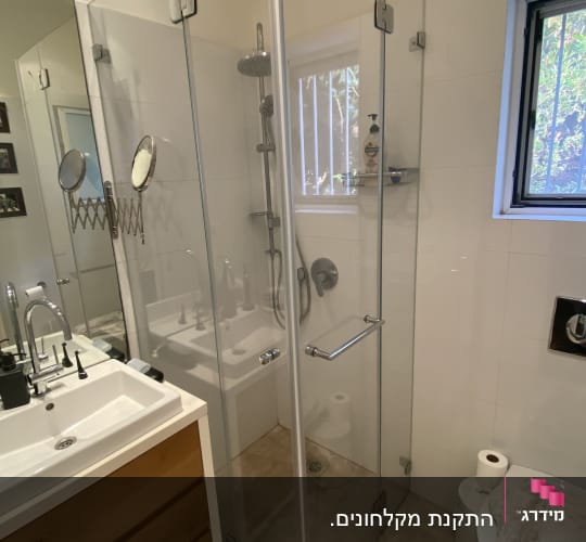 מקלחון זכוכית עם כיור ועציץ בחדר אמבטיה מודרני